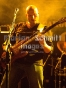 www_PhotoFloh_de_Benefizkonzert_Tierheim_Pirmasens_03_11_2012_030