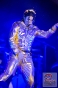 www_PhotoFloh_de_MichaelJacksonTributeShow_Pirmasens_03_03_2015_280